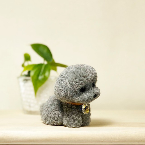 トイプードル Mサイズ まんまるテディベアカット シルバー うちの子