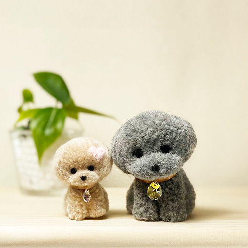 トイプードル Mサイズ まんまるテディベアカット シルバー うち