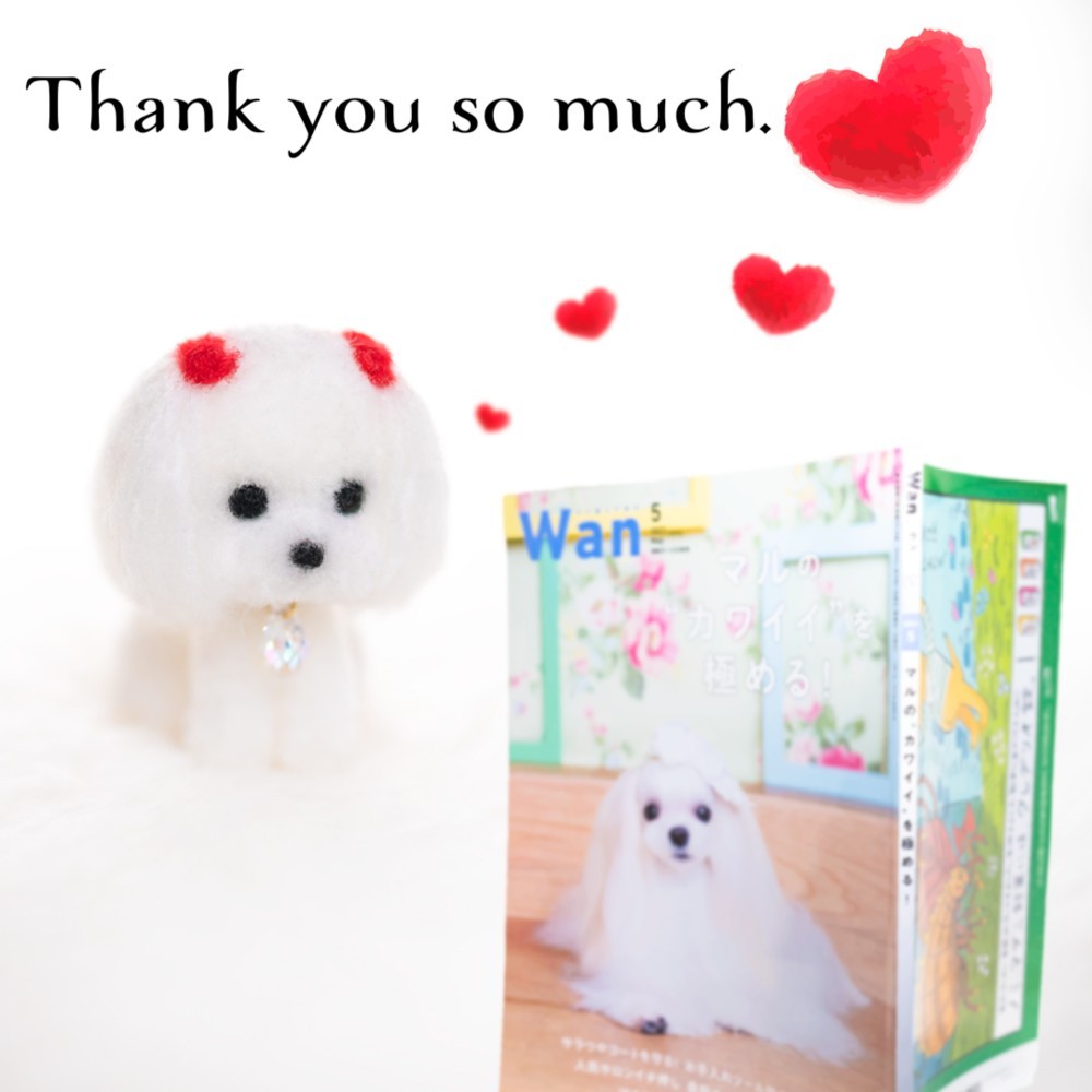 【受注制作】araco(あらこ)　Sサイズ PomPom Dream看板犬