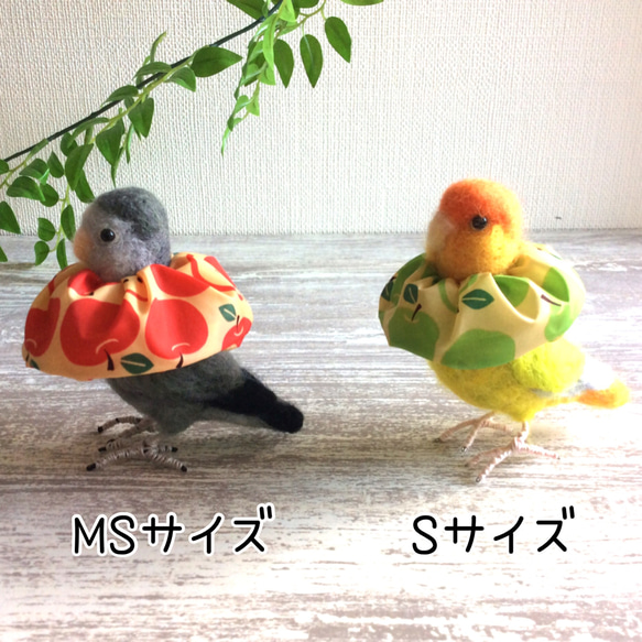 人気【トリザベスカラー】S〜Lサイズ　エリザベスカラー　インコ　鳥 9枚目の画像