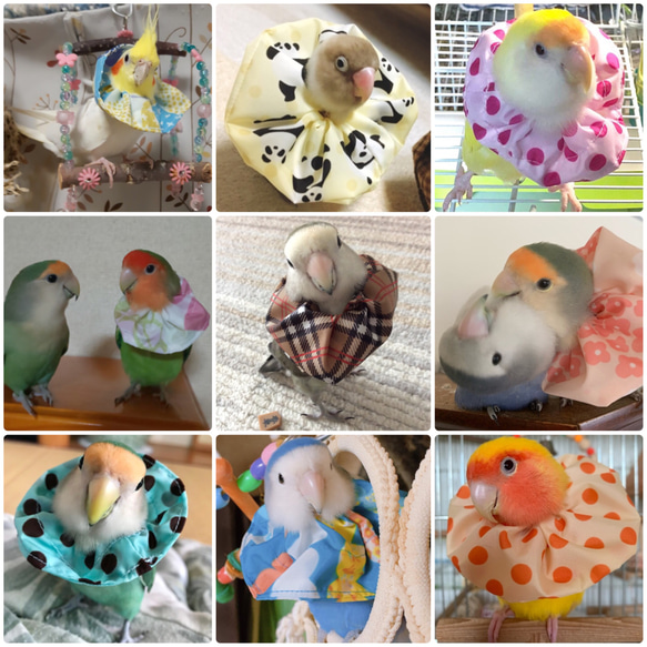 【トリザベスカラー】LM スタンダード版 インコ 長さ調節可能 エリザベスカラー 3枚目の画像