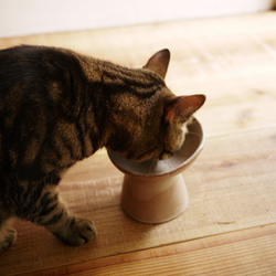 《ネコのうつわ》ごはんが食べやすいにゃ茶碗 2枚目の画像