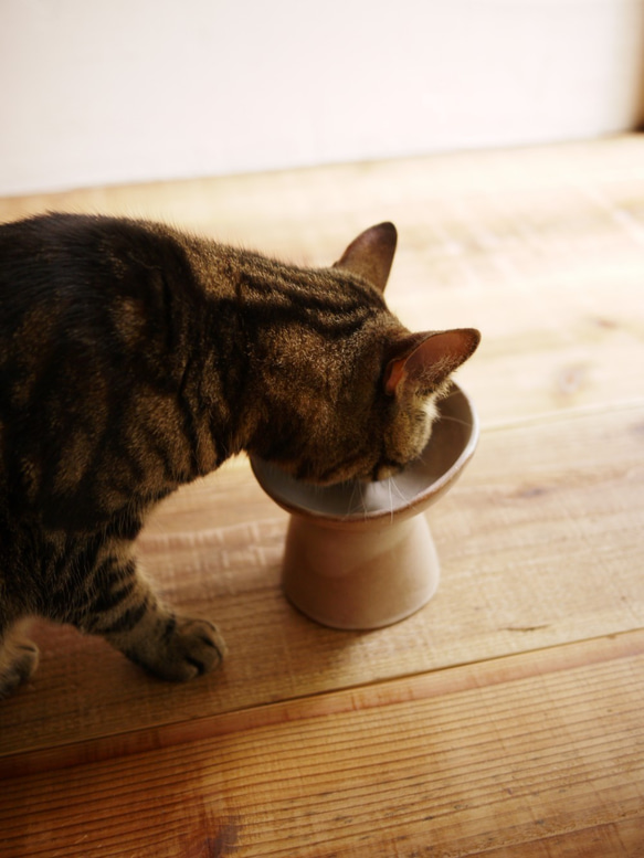 《ネコのうつわ》ごはんが食べやすいにゃ茶碗 2枚目の画像