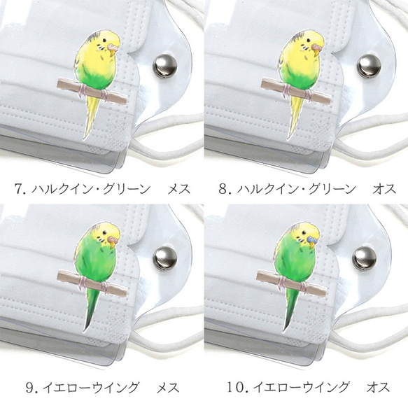 感染予防 透明 PVC 仮置き【クリア マスクケース セキセイインコ グリーン・イエロー系 使い捨てマスク用】A051L 9枚目の画像