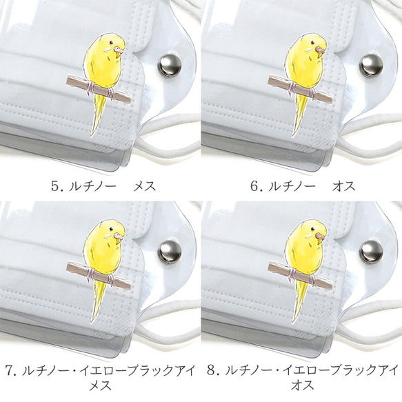 感染予防 透明 PVC 仮置き 【クリア マスクケース セキセイインコ イノ系（単色）  使い捨てマスク用】 A053L 8枚目の画像