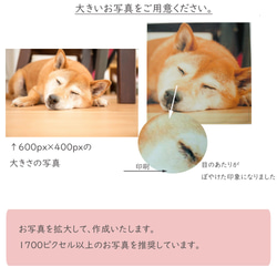 クッション 【 オーダーメイド うちの子 】 ペット 犬 猫 20cm インテリア プレゼント メモリアル A094I 6枚目の画像
