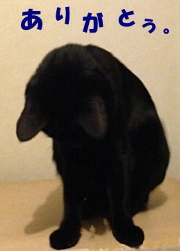 シルバ－925リング kk-7bk/1 一匹の黒猫シルエットリング ヘアーライン仕上げ 5枚目の画像
