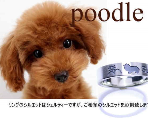 K10WG プードル犬リング トイプードル リング イヌ いぬ 犬 ドッグ 動物 アニマル 燻し