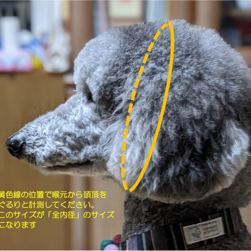 パラコード ターコイズブルーのお飾りチョーカー首輪 大型犬用