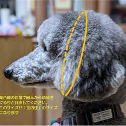 Mさまオーダー品　ターコイズブルーのお飾りチョーカー首輪　大型犬用　（内径４７cｍ） 9枚目の画像