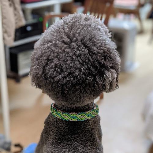 パラコード やさしい色合いのハーフチョークチェーンタイプの首輪 大型