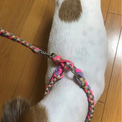 LoveLove編み３色編み込みハーフチョーク　お揃いのリードもあります　小型犬用（内径24～29ｃｍ） 6枚目の画像