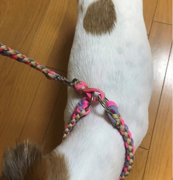 LoveLove編み３色編み込みハーフチョーク　お揃いのリードもあります　小型犬用（内径24～29ｃｍ） 6枚目の画像