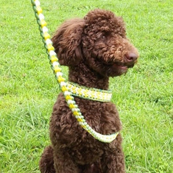 LoveLove編みのリード　小型～中型犬用(全長１2０ｃｍ)　お揃いの首輪もあります 2枚目の画像