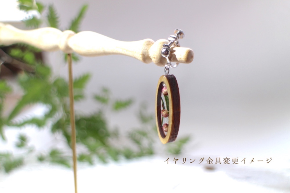 ellipse    楕円　耳飾り　C