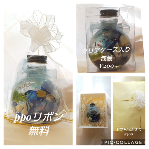 seaJELLYfish(クラゲハーバリウム) ハーバリウム・植物標本 アトリエゆ  