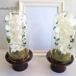 仏花　ガラスドーム　Ｌサイズ　デンファレ 2枚目の画像