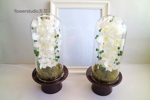 仏花　ガラスドーム　Ｌサイズ　デンファレ 2枚目の画像