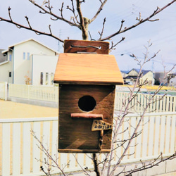 手作り木工　針葉樹林合板を使った鳥の巣箱　引っ掛けタイプ　公園　休憩所　餌台　野鳥の観察　バードウォッチング 2枚目の画像