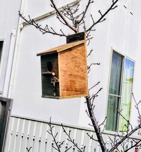 手作り木工　針葉樹林合板を使った鳥の巣箱　引っ掛けタイプ　公園　休憩所　餌台　野鳥の観察　バードウォッチング 3枚目の画像