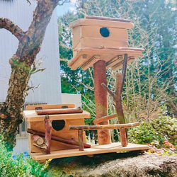 0_bbc0da8f83af5d5694d1678a250a