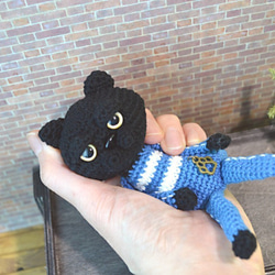 C8あみぐるみ☆マンチカンな猫Meru－黒－ジャージ＊ブルー 1枚目の画像