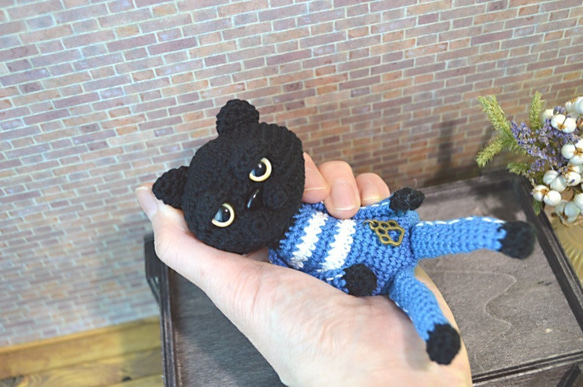 C8あみぐるみ☆マンチカンな猫Meru－黒－ジャージ＊ブルー 1枚目の画像