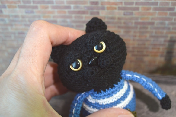C8あみぐるみ☆マンチカンな猫Meru－黒－ジャージ＊ブルー 5枚目の画像