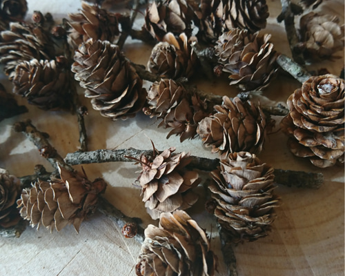 0_32a3b04267bd3ca7a71f71c709d7