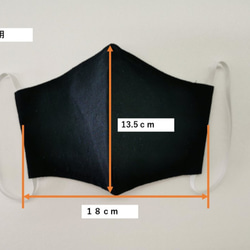 ハンドメイド　コイケマスク　Mサイズ　CKM-12 5枚目の画像