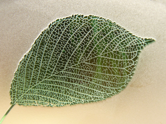 葉っぱ　ロックグラス　ソメイヨシノ（1個） 2枚目の画像