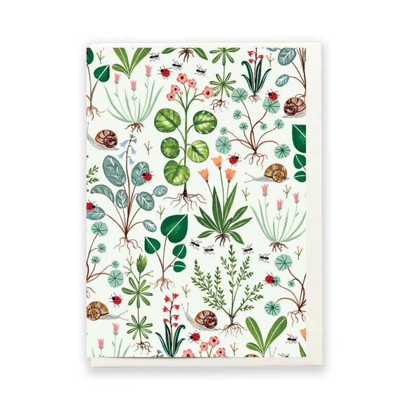 「緑の植物」グリーティングカード（105mm x 148mm） 1枚目の画像