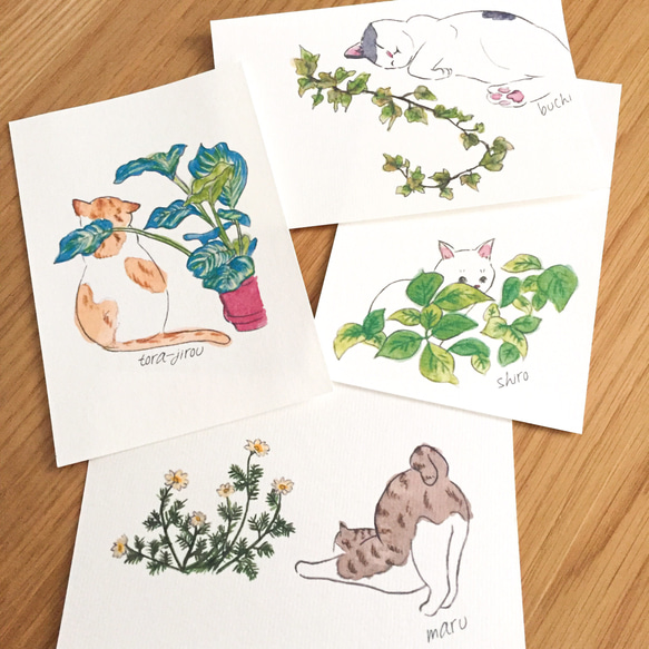 猫のイラスト】はがき・ポストカード ［猫と植物シリーズ］4種類