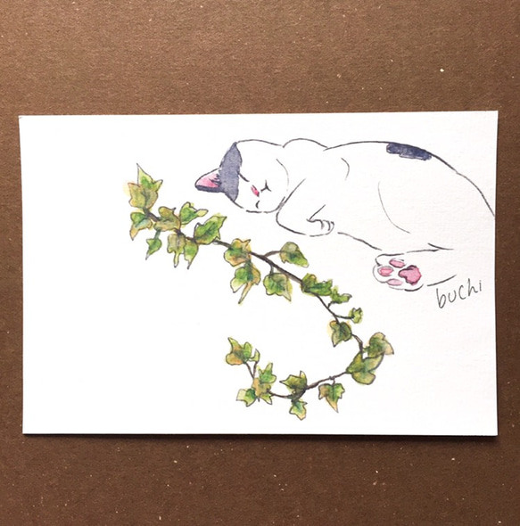 【猫のイラスト】はがき・ポストカード ［猫と植物シリーズ］4種類セット 4枚目の画像