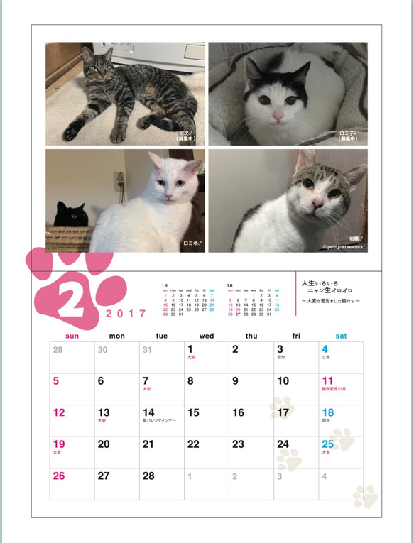 猫のカレンダー*壁掛けタイプ 2枚目の画像