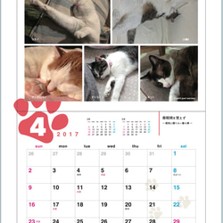猫のカレンダー*壁掛けタイプ 4枚目の画像