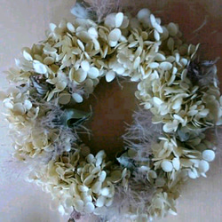 アナベルwreath（ベージュ） 1枚目の画像