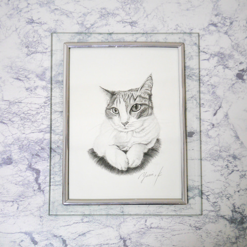 優しい目の猫の鉛筆画 写真・グラフィック しーさん(他サイト