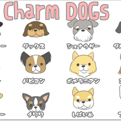Charm Dogs 1枚目の画像