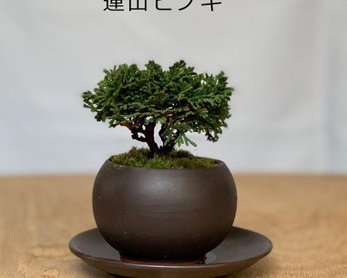 0_99e6f97caba10502ae7ac4c8039a