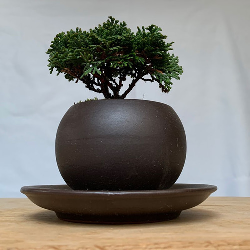 手のひらサイズの壮大な景色をお楽しみください【連山檜（れんざん