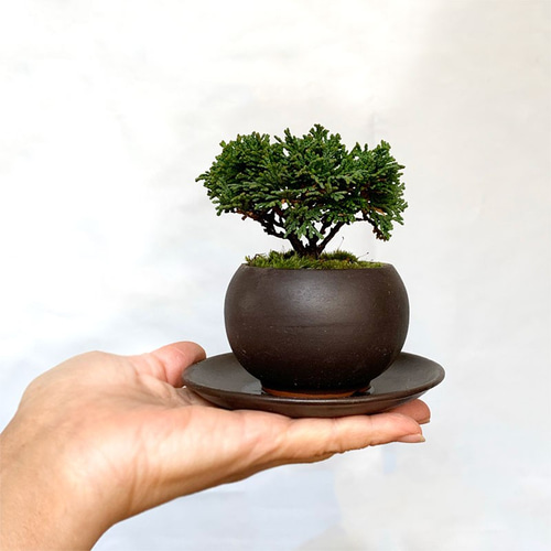 手のひらサイズの壮大な景色をお楽しみください【連山檜（れんざん