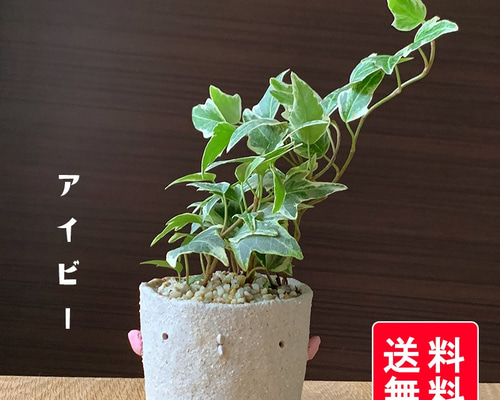 0_bfb4c57daddd9e0e1b8d754ac903