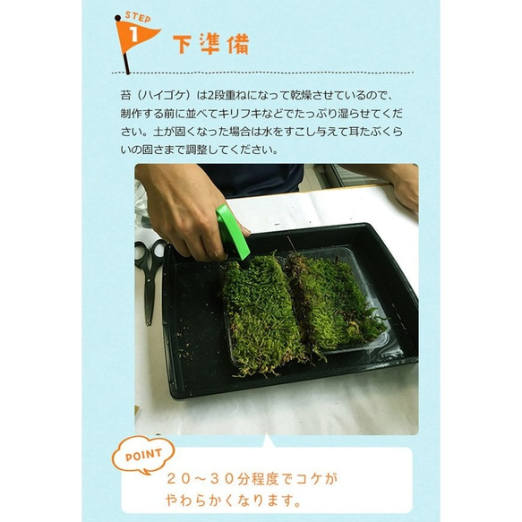 【春から秋は葉が緑色】ご自宅で苔玉を作ってみませんか？【苔玉キット　苗付（南天）手袋付き】 5枚目の画像