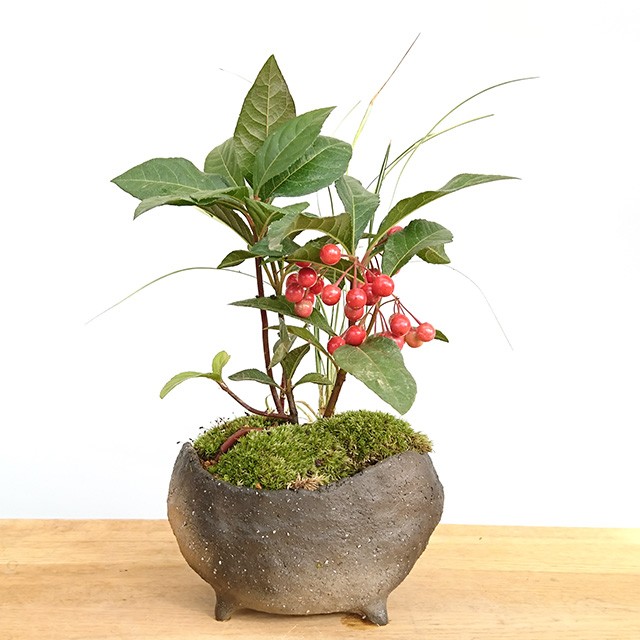 ヤマグチコウジ作　花器及びオーナメント ヤマグチコウジ作 花器及びオーナメント