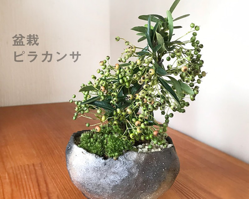 0_5e734a4007dfa90fab6e8b0330ee