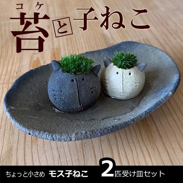 コケを育てる子ネコのモスモス【モス子ネコ2匹・受け皿セット】 その他 