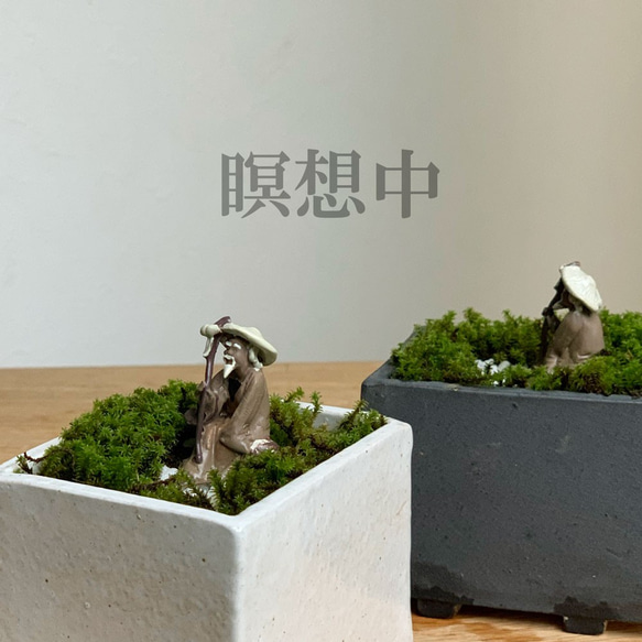 コケを育てる　苔盆栽 【瞑想する仙人】万古焼創作角鉢 仙人 神様 3枚目の画像