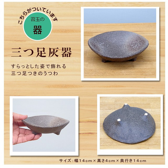 鮮やかな黄色と深緑色のコントラストが美しい苔玉【テイカカズラの苔玉・三つ足灰器セット】 3枚目の画像