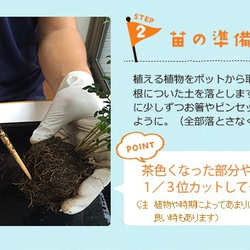 さあ苔玉（こけだま）を作りましょう！【苔玉キット】 4枚目の画像